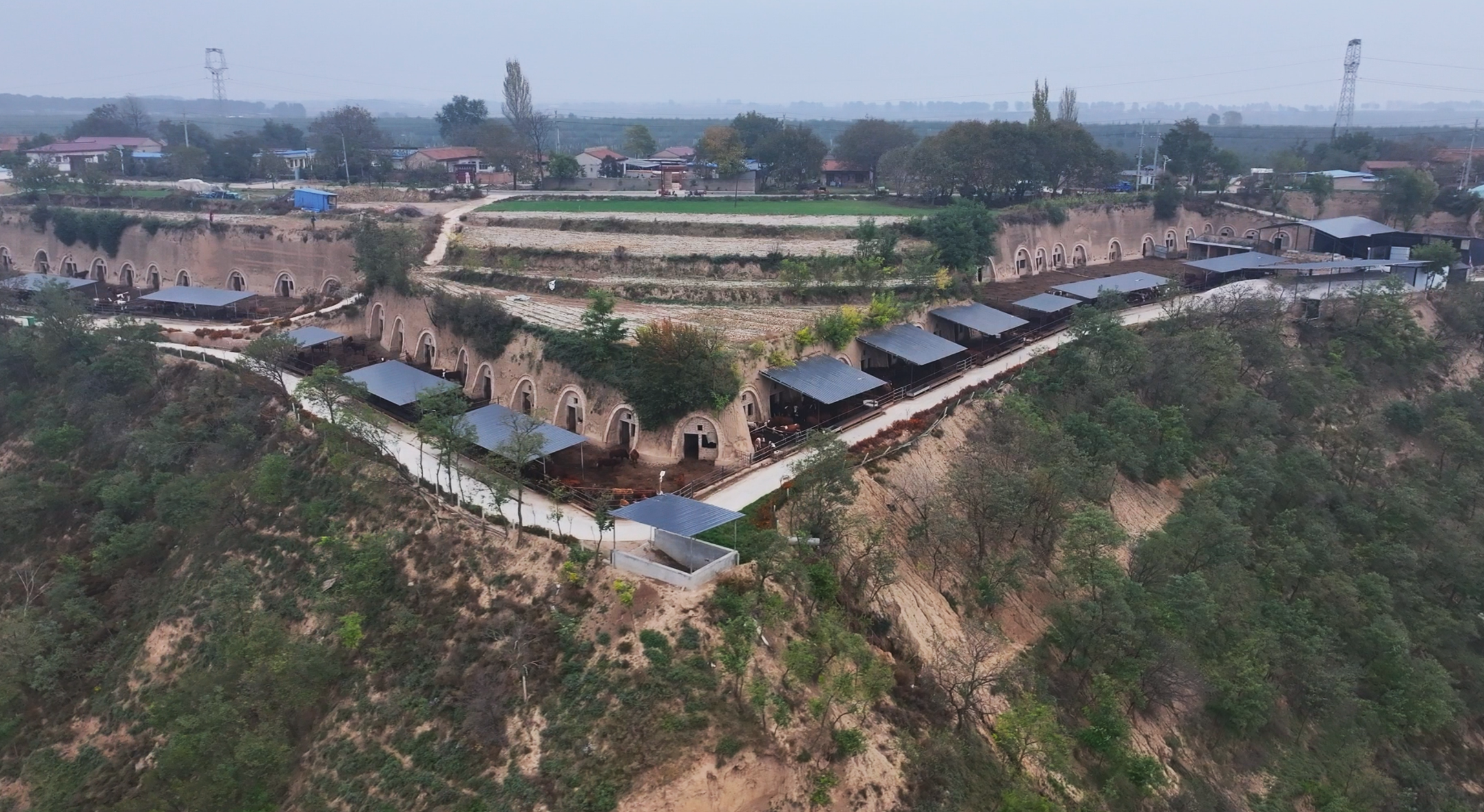 崇信：养殖“生态鸡”百姓日子乐