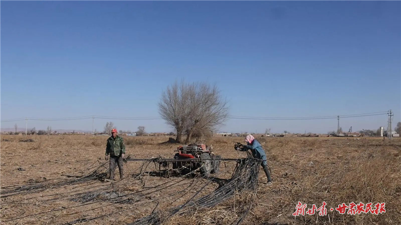 永昌县：&ldquo;变废为宝&rdquo;废旧地膜有了&ldquo;好归宿&rdquo;