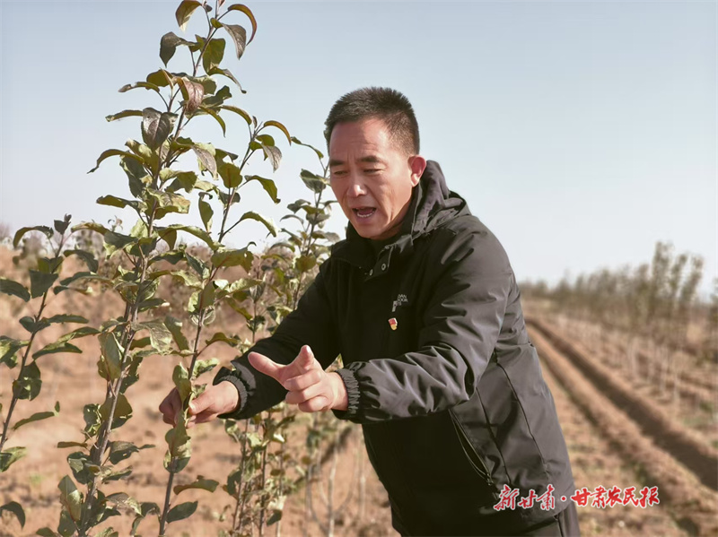 灵台：安永军，点燃安冯村希望之光的&ldquo;领路人&rdquo;