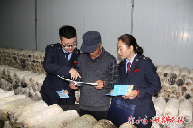 庆阳：以税惠农 铺就菌菇产业发展致富路