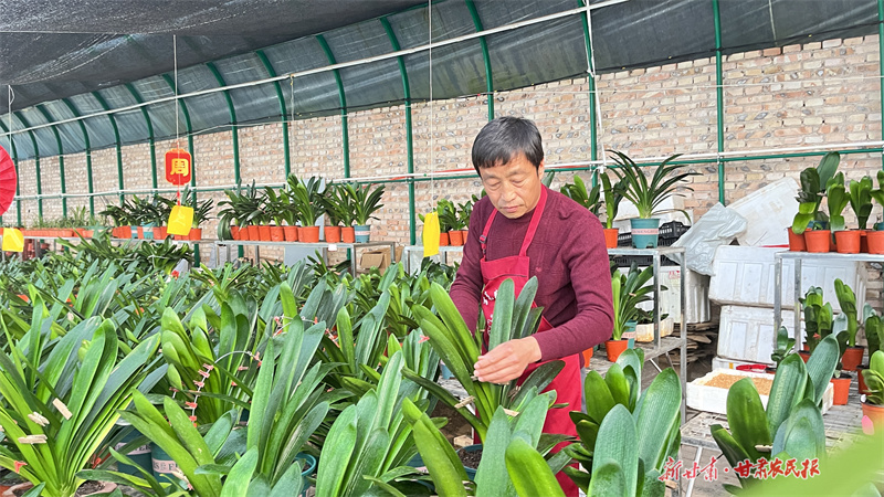 崆峒区：花卉产业绽放&ldquo;美丽经济&rdquo; 