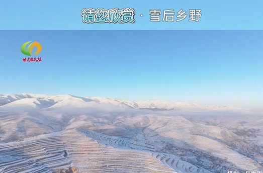 【请您欣赏】雪后乡野