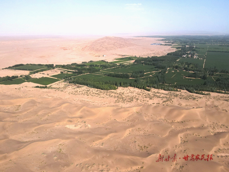 &ldquo;绿进沙退&rdquo;的临泽实践