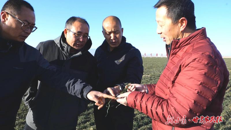 永昌：让科技特派员的&ldquo;金手指&rdquo;在基层发光