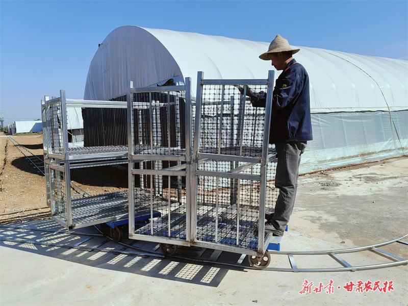 “领头人”杨立刚 蘑菇大棚引进“小火车”