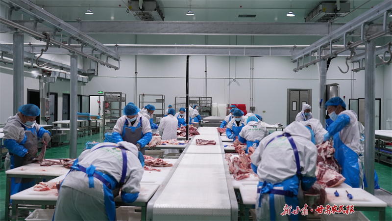 静宁：牛肉加工企业奏响春节生产奋进曲