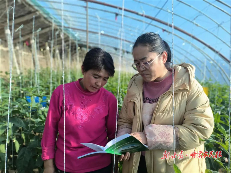 民勤：做好农户&ldquo;田保姆&rdquo; 农技人员&ldquo;支招&rdquo;忙