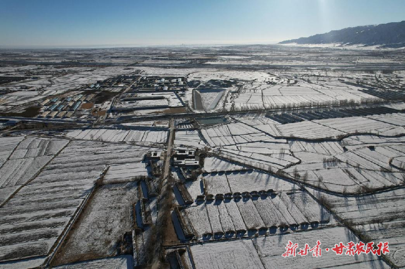 凉州区：广袤沃野&ldquo;丰&rdquo;景好 乡村振兴写新篇