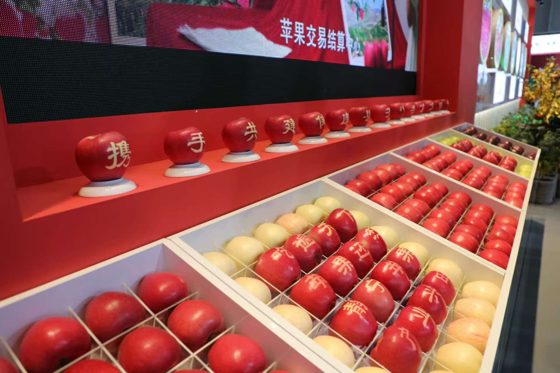 生态“零排放”成就静宁苹果全生命周期“完美闭环”