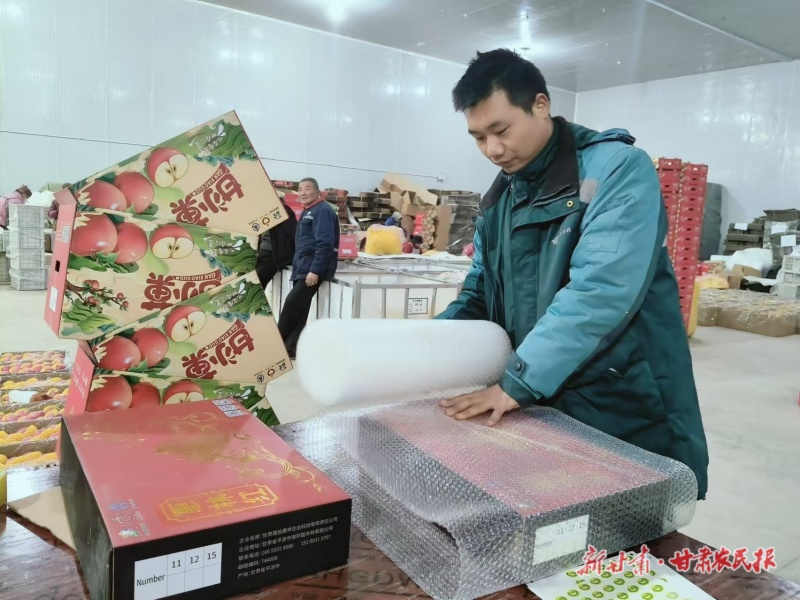 灵台苹果进入销售旺季