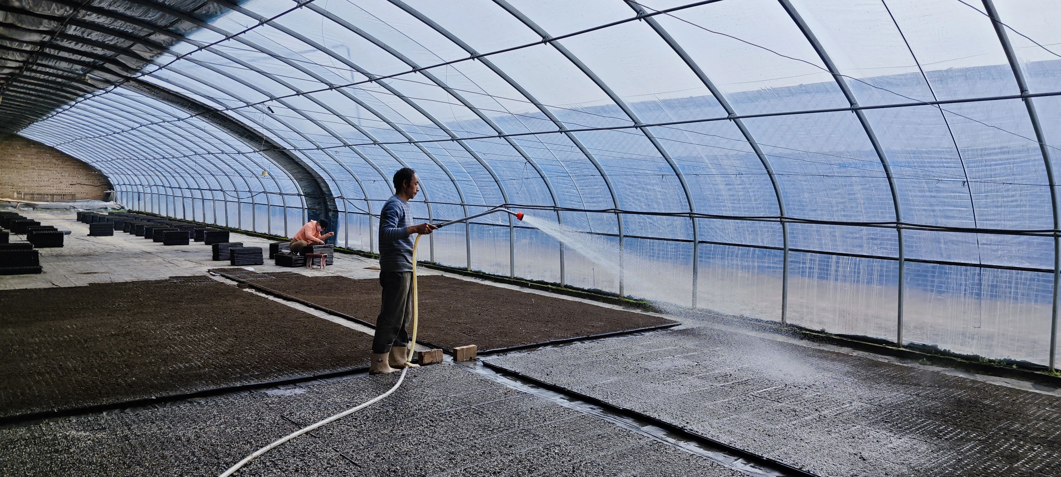 崆峒区：大棚育苗备春耕