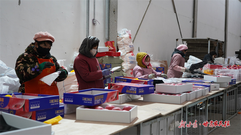 【新春走基层】一果“俏”四方