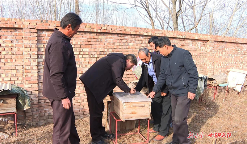 庄浪：90后“养蜂人”的致富“蜜”诀