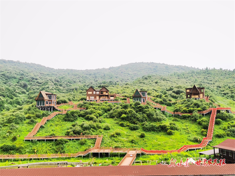 2024年的甘肃文旅，缘何这么&ldquo;红&rdquo;？