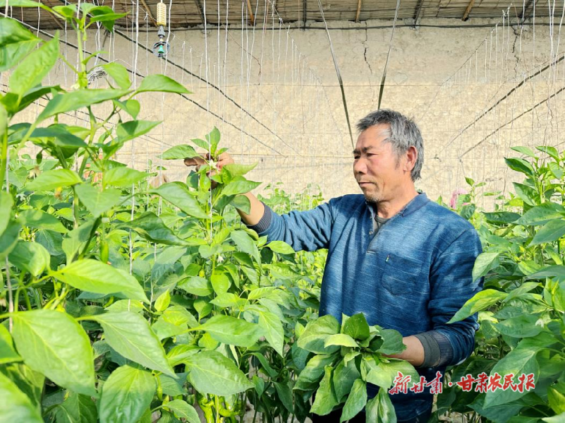 凉州：夯实&ldquo;三农&rdquo;基础 推进乡村振兴