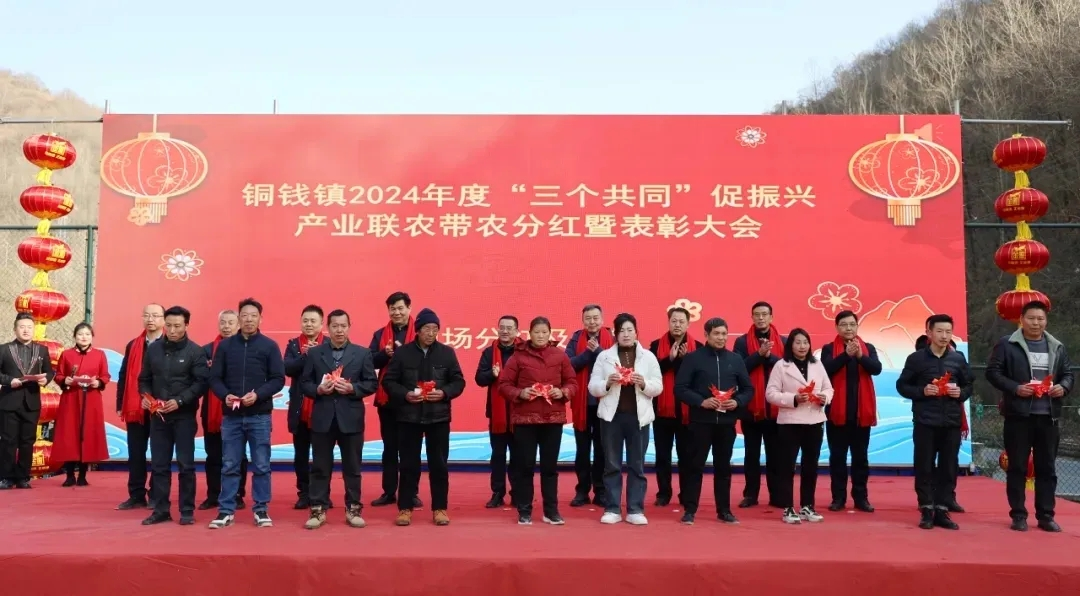 康县：增收致富 他们有话说