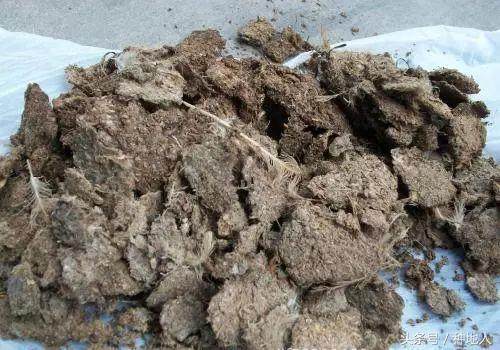 鸡粪的科学处理