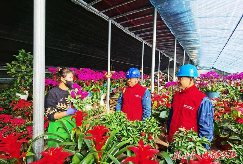 凉州：春节保电护航花卉产业