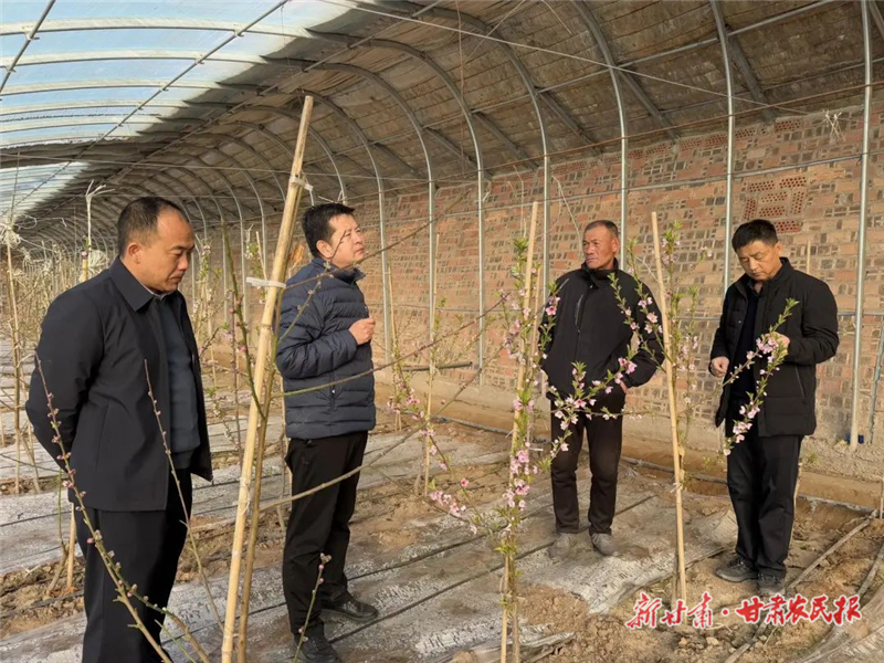 春节不打烊！林果技术服务&ldquo;不缺席&rdquo;