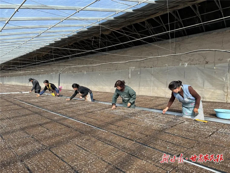 民勤：全力备春耕！ 用&ldquo;芯&rdquo;做强种业