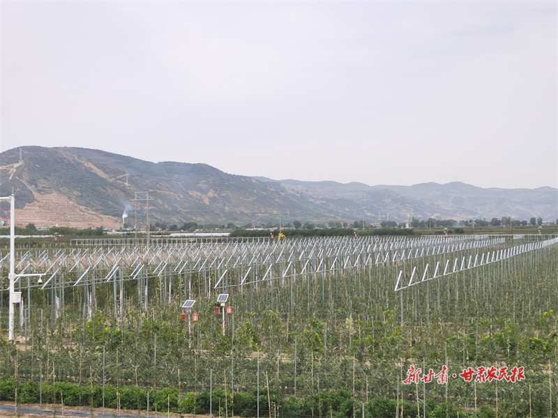 数说2024平凉“三农”工作亮点