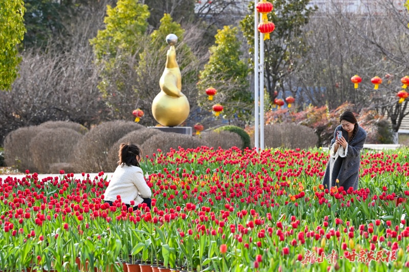 陇南滨江生态公园