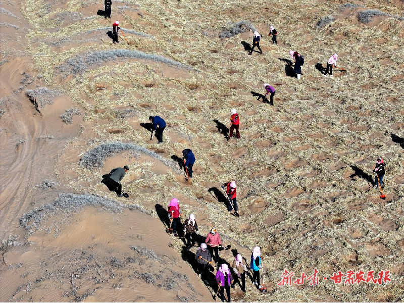 春风里的绿色誓言&mdash;&mdash;民勤，让我们共植希望之林！