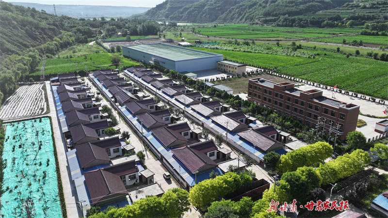 【报效祖国 建功西部】黄土坡上的“青春力量”——记崇信县黄花乡高年村党支部书记信亮军