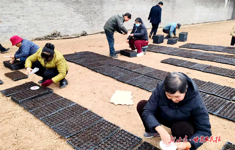 华亭:&ldquo;苗&rdquo;绘新希望