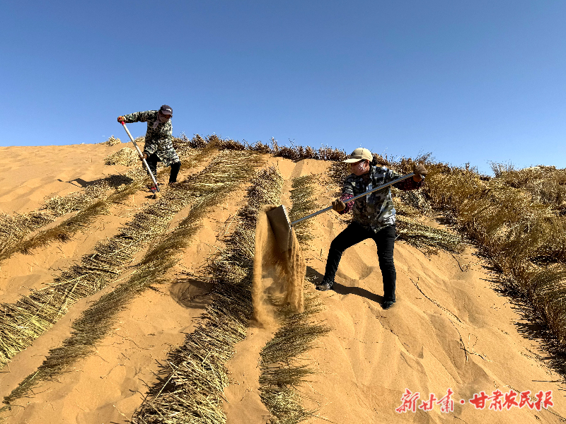 从&ldquo;绿进沙退&rdquo;到锁边成林！民勤的绿色逆袭方程式
