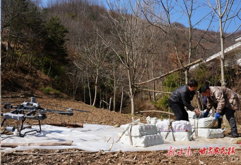 康县：蜜环菌“坐”上了小飞机