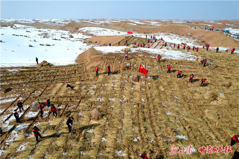 压沙忙在春风里&mdash;&mdash;凉州区开展2025年春季义务压沙活动侧记