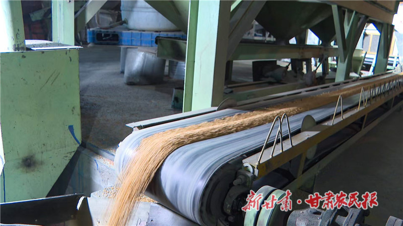 春耕的种子：政策下的甘肃农业新希望&mdash;&mdash;景泰严选&ldquo;一粒种&rdquo; 打好春播&ldquo;第一仗&rdquo;