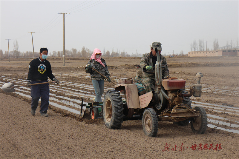 【大国策下的小日子】&ldquo;小制种&rdquo;孕育新希望