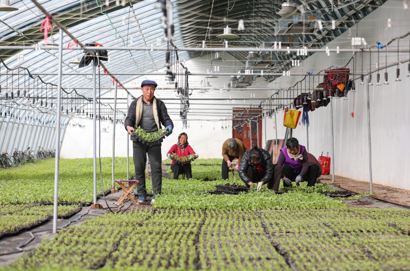 &ldquo;天时&rdquo;护航绘出陇原&ldquo;春耕图&rdquo;&mdash;&mdash;甘肃省气象部门服务春耕备耕见闻