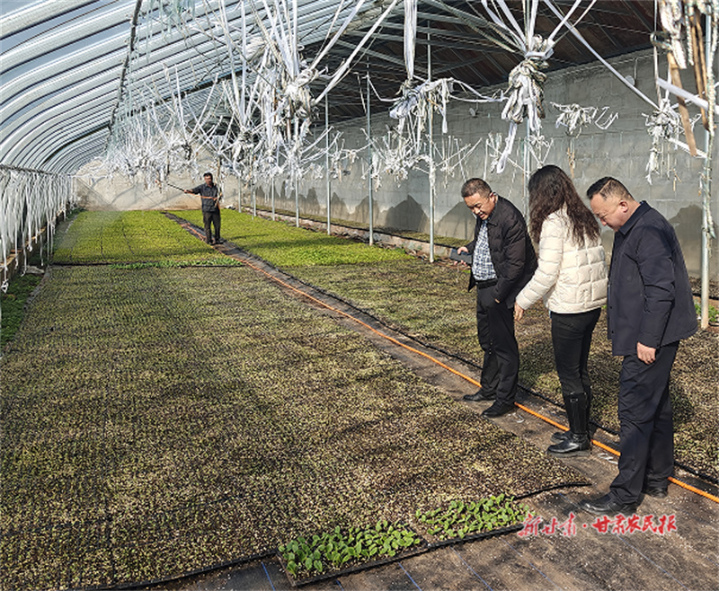 崇信：干群齐心奏响“春耕曲”