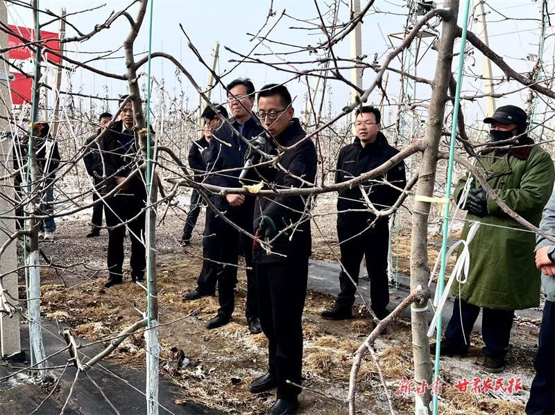 灵台：西屯镇万亩良田穿&ldquo;新衣&rdquo;