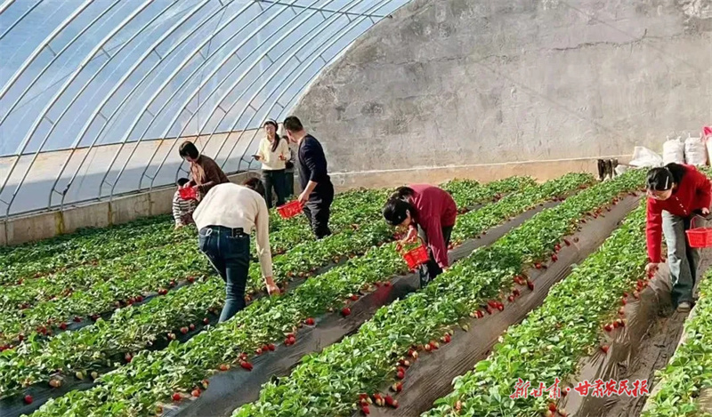 春耕生产正酣&mdash;&mdash;华亭市春耕生产掠影