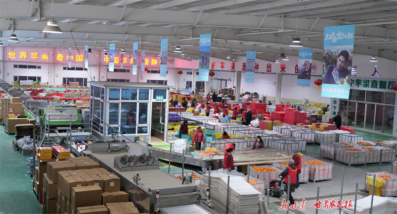 庄浪：村企携手共绘乡村振兴新画卷