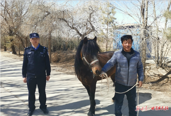 民乐公安：“塞翁失马”民警找回
