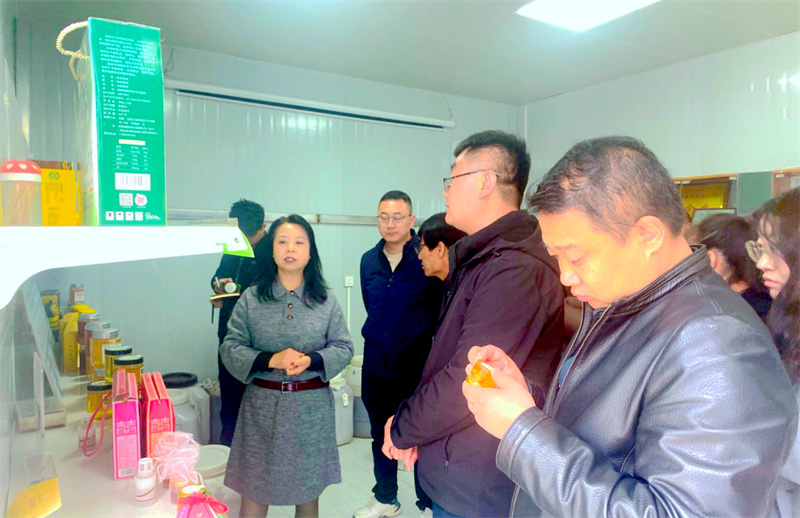 华亭：寻求“发展真经”解锁“致富密码”