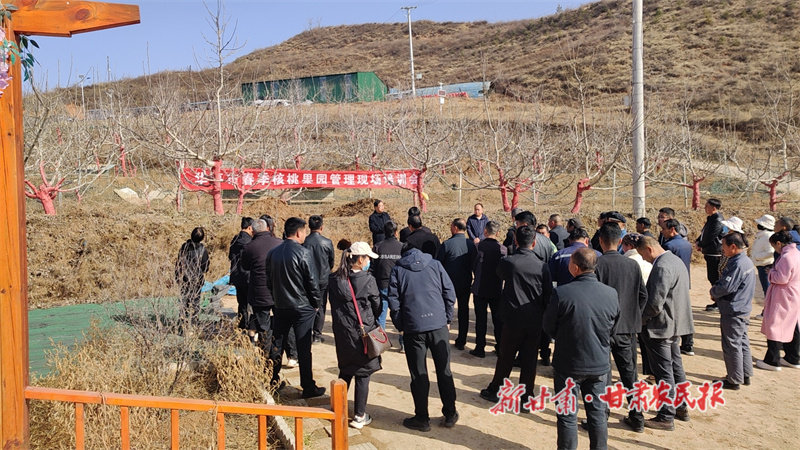 华亭：田间课堂送“真经”果树春管有“良方”