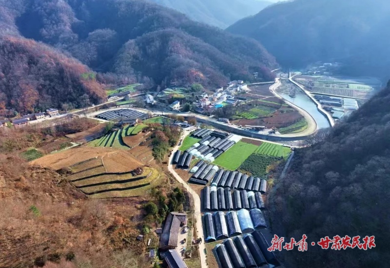 康县两河镇：党建引领 多元产业促振兴