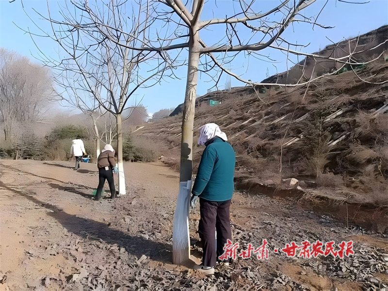 华亭：核桃管护正当时