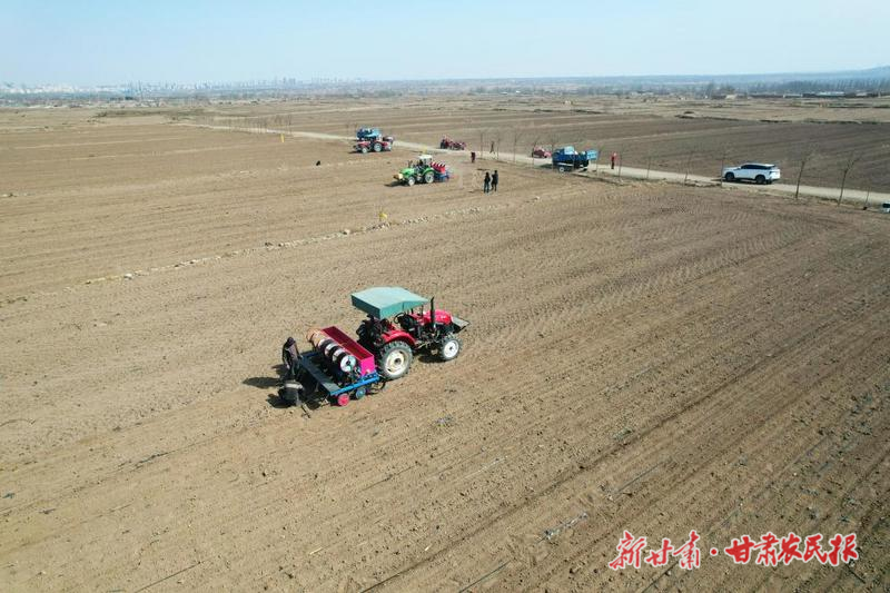 凉州区:科技赋能“春播”奏响粮食丰收序曲