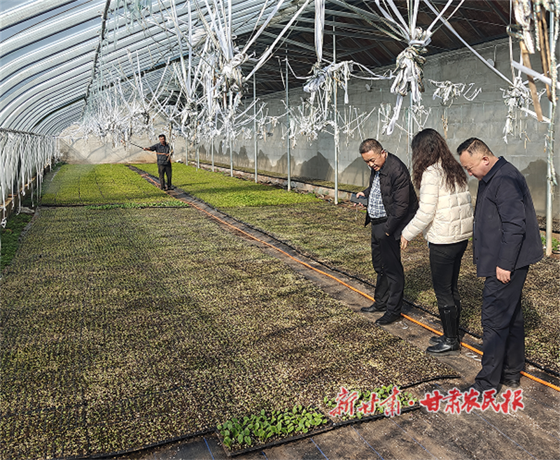 华亭：春风拂沃野 万象“耕”新时