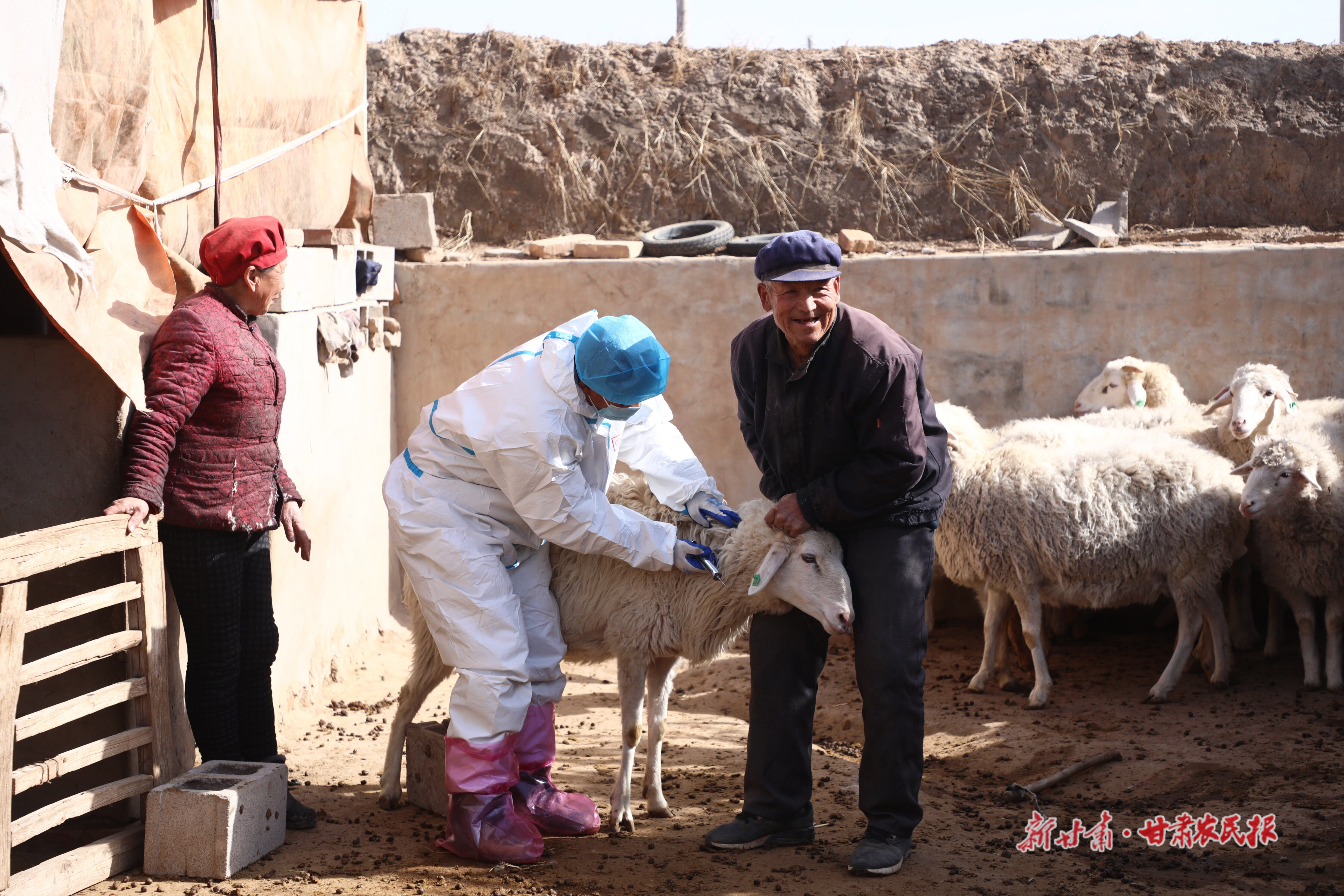 环县：春防“进行时”为畜牧业撑起“保护伞”