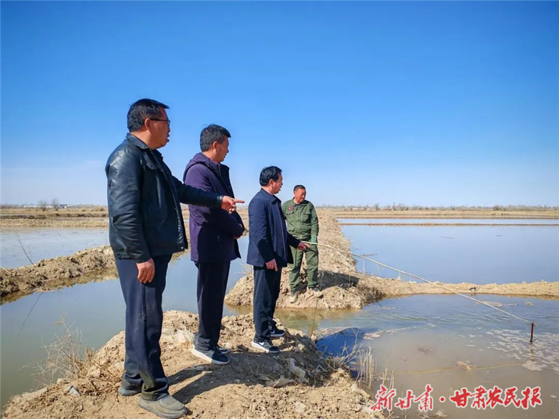 民勤县东湖镇:春耕保民生 春灌正当时