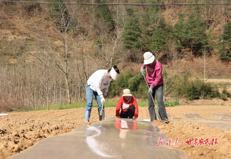康县：抢抓农时忙春耕