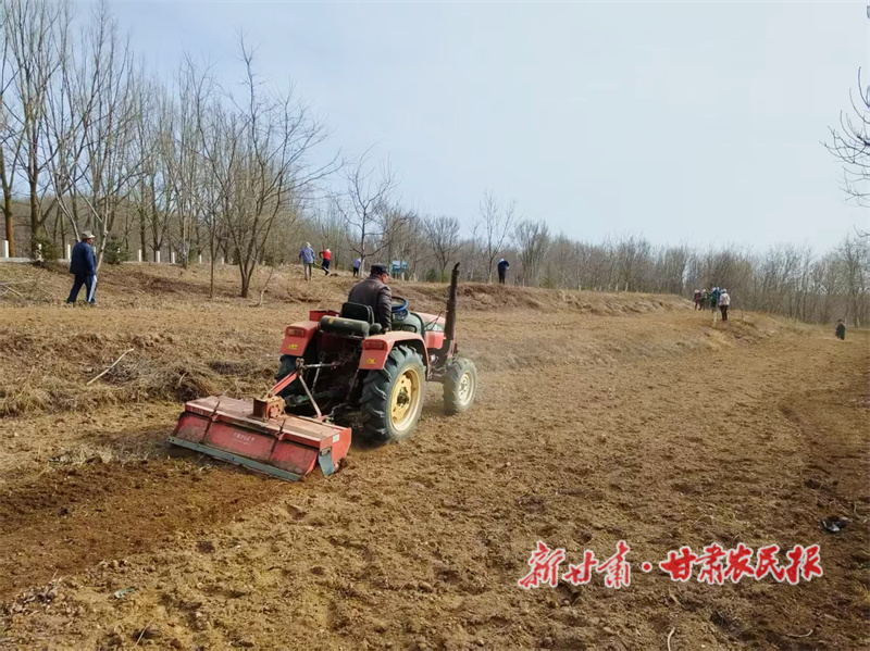 华亭：果园春潮涌 套种拓富路